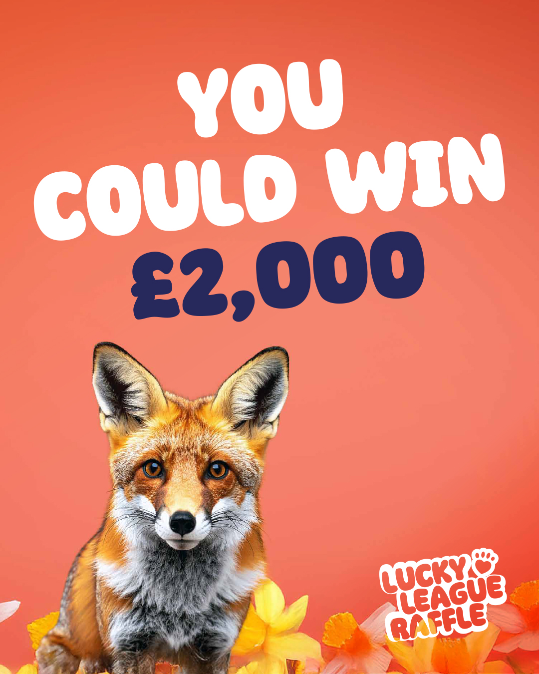 Enter the Lucky League Raffle