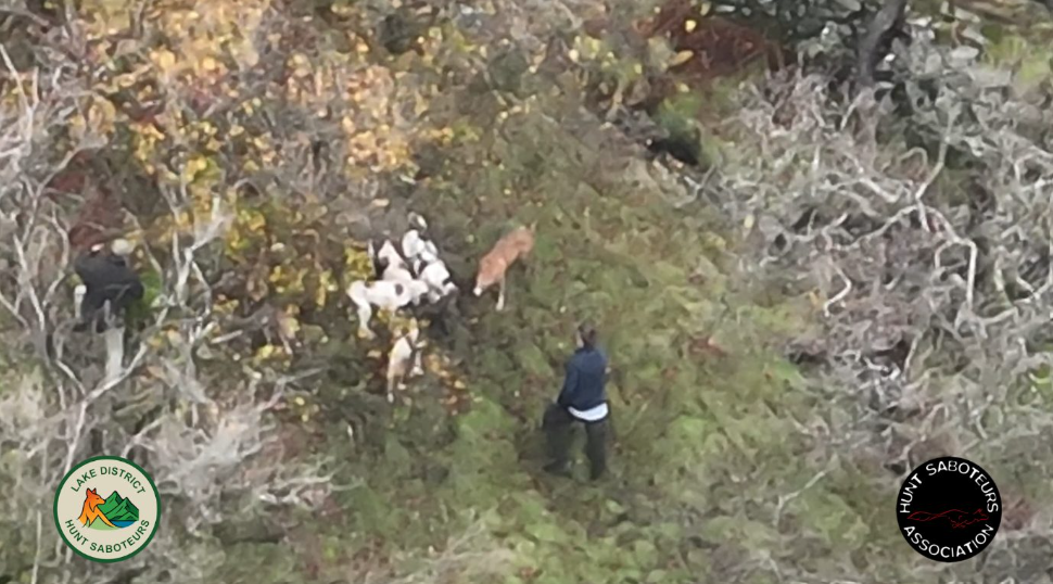 Lake District fox hunt scene