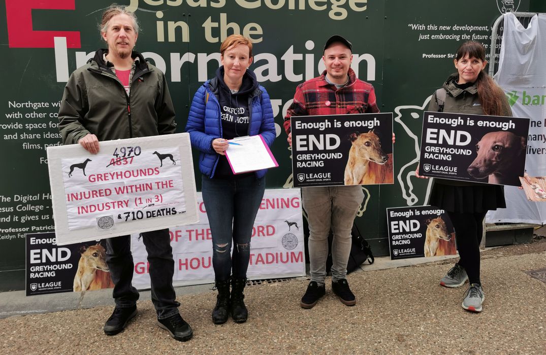 Animal Charity