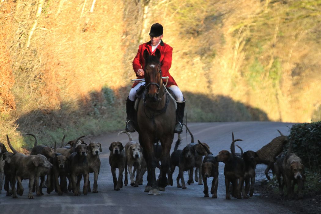 The Dulverton Farmers fox hunt on Exmoor National Park