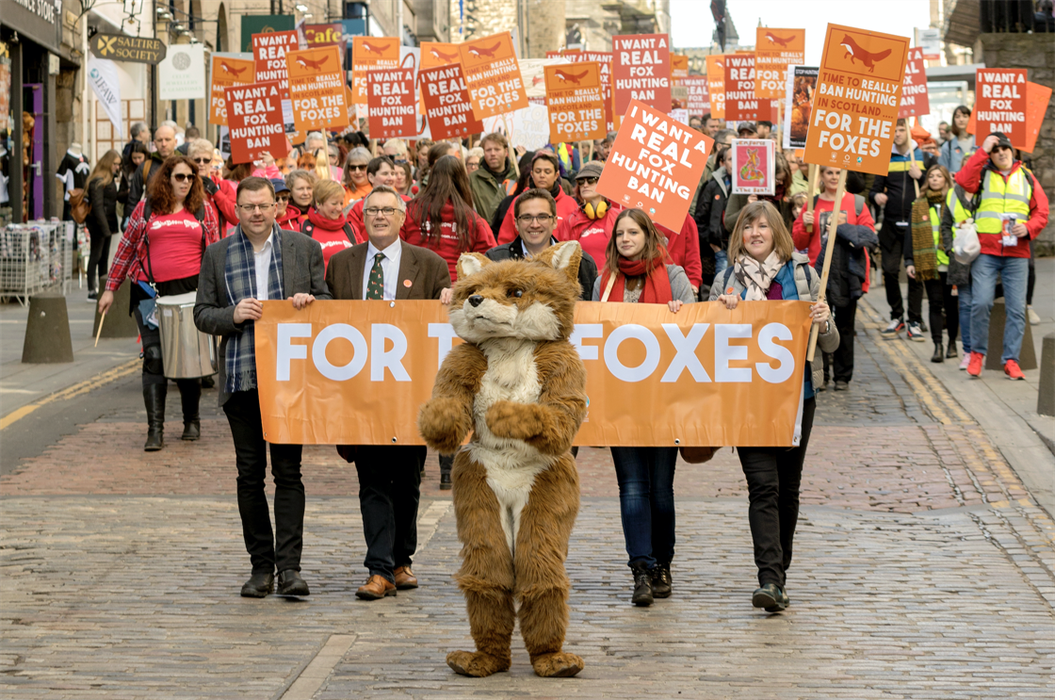 Protest in Scotland to end fox hunting