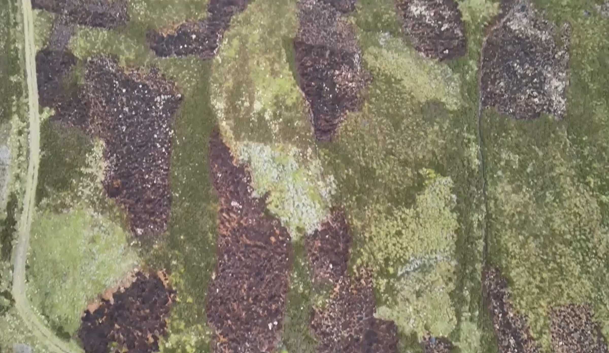 Muirland damage