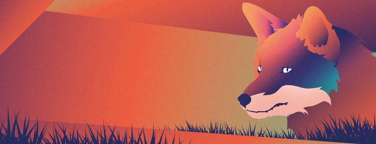 Animal Charity
