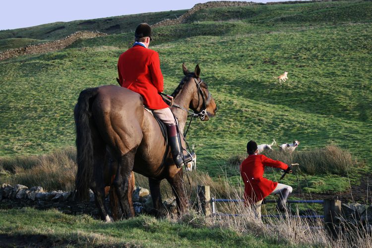 LEAGUE STATEMENT ON NORTH YORKSHIRE COUNCIL TRAIL AND FOX HUNTING MOTION