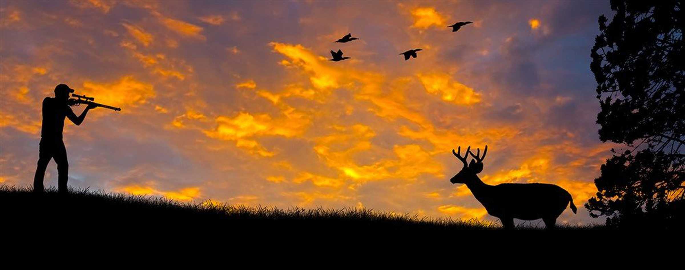 Hunter hunting a stag