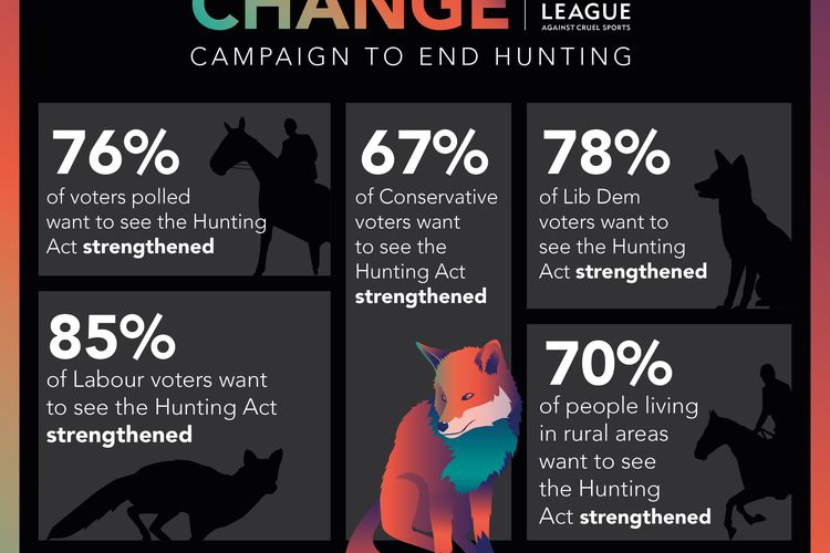 New figures say strengthening fox hunting law is a vote winner in key