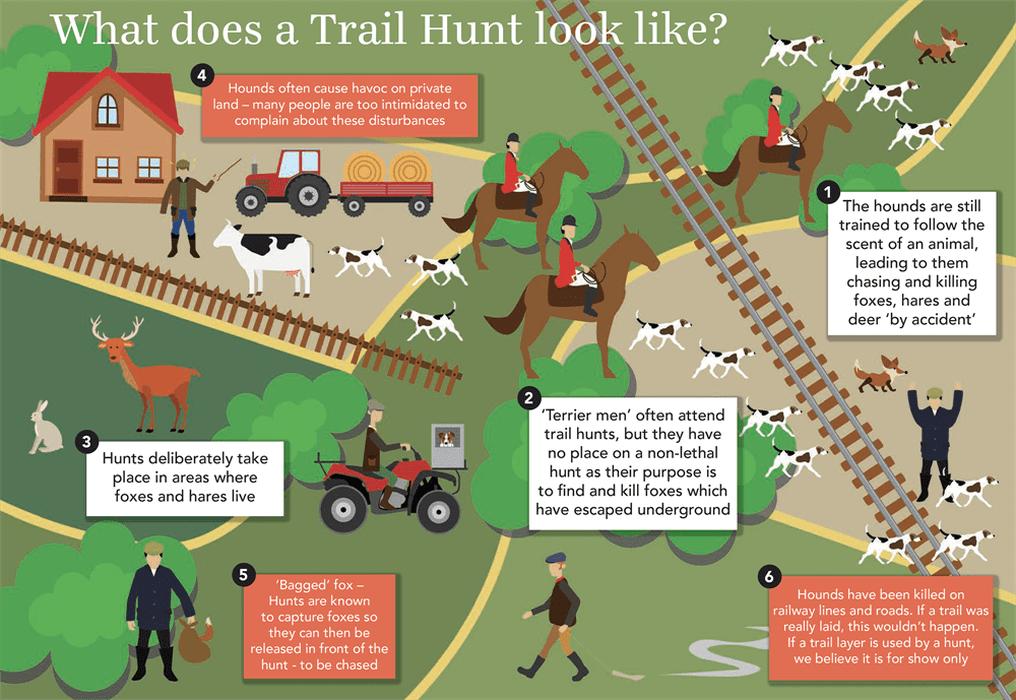 Infographic on trail hunting