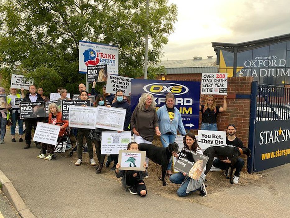 Animal charity, League Against Cruel Sports, Greyhound racing