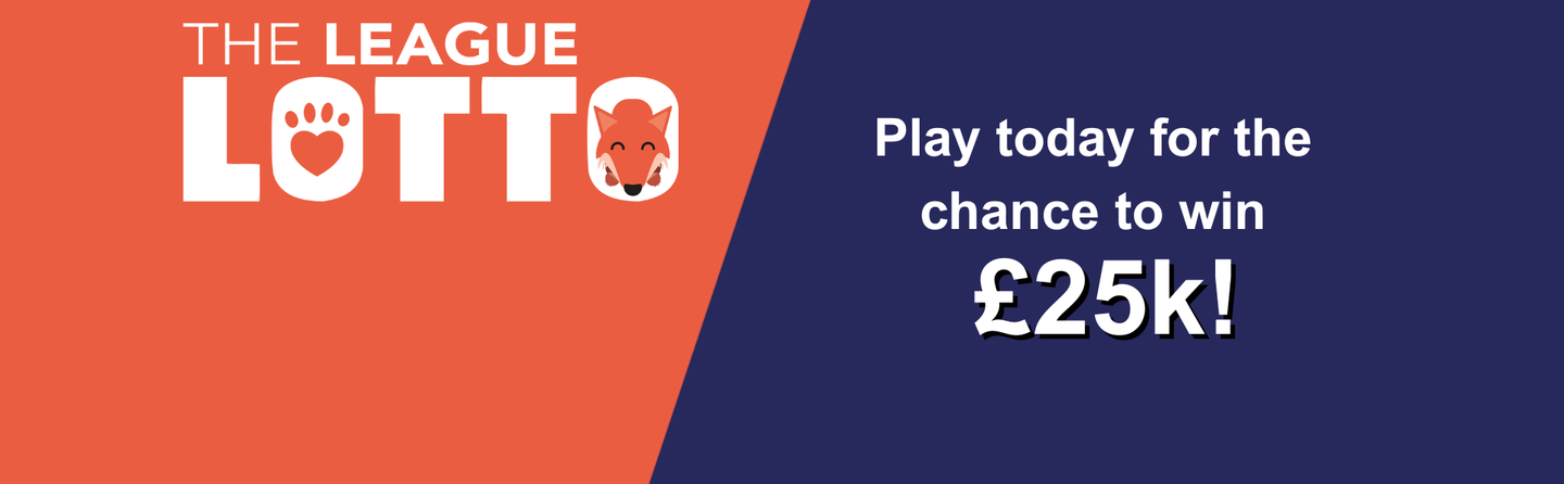 Animal Charity