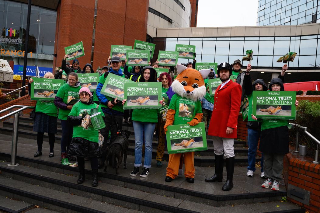 National Trust | Fox Hunting National Trust | Fox Hunting
