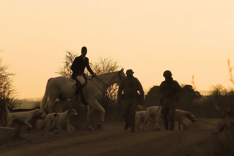 DEFENCE BOSS THREW A “VEIL OF SECRECY” OVER HUNTS USING PUBLIC LAND