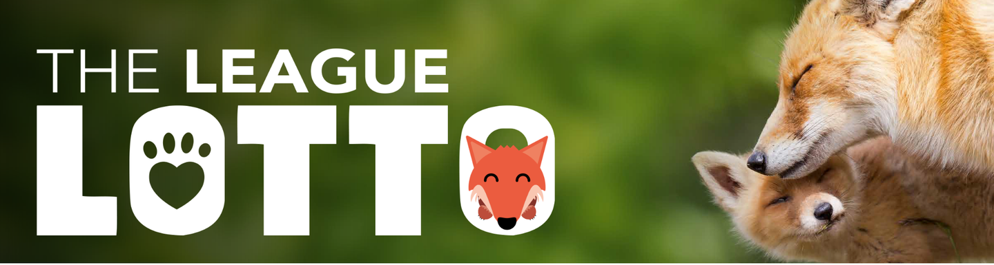 Animal Charity