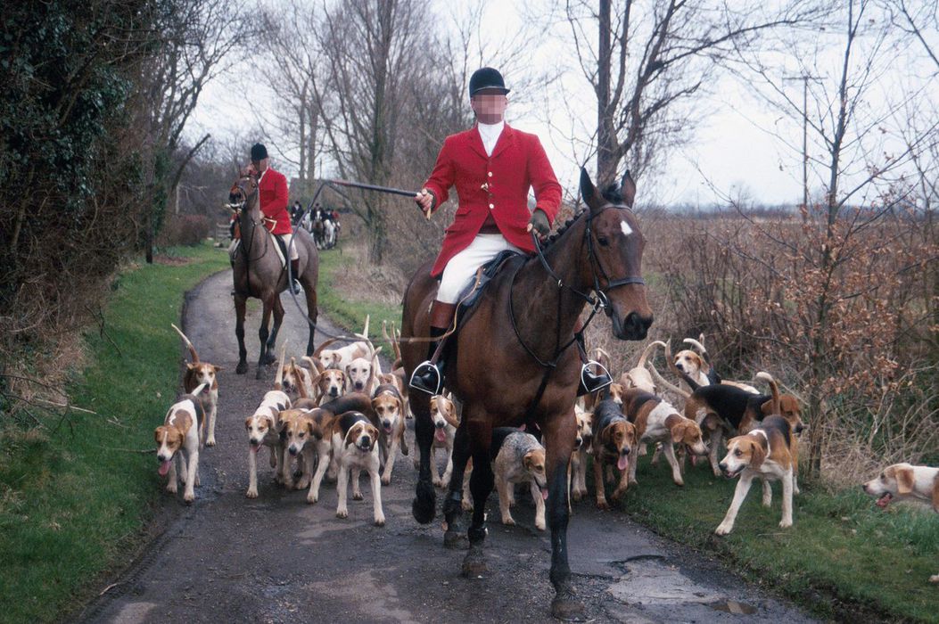 Animal Charity