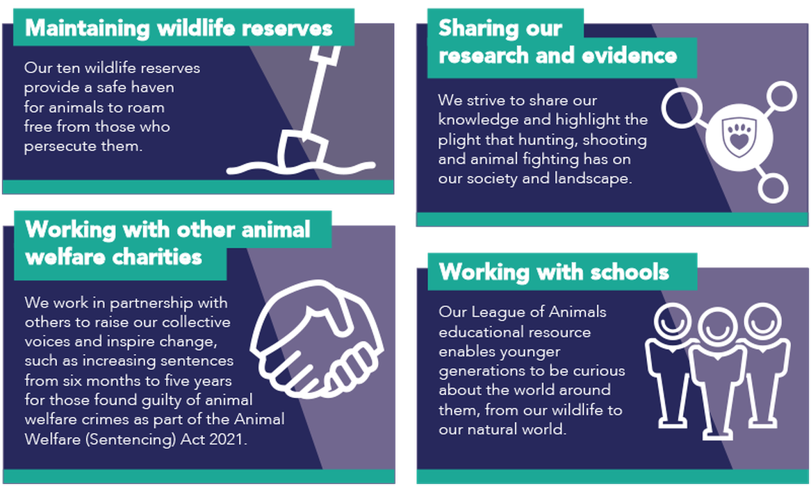 What We Do Infographic