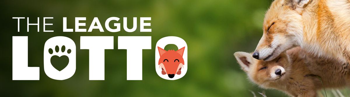 Animal Charity Lottery
