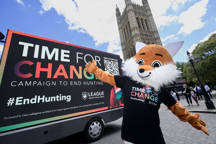 Leading animal welfare organisations back calls for a stronger hunting laws