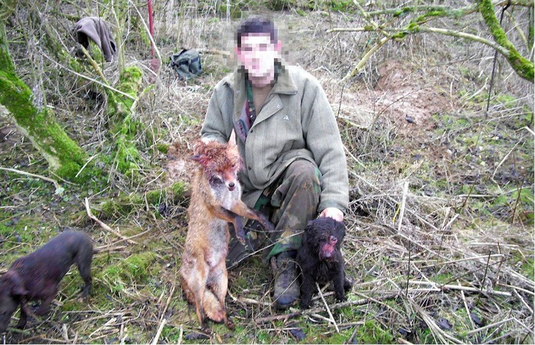 Hunter with injured dog and fox