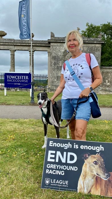 Rescue greyhound at protest
