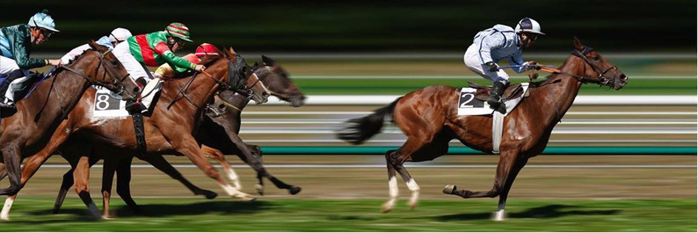 Horses racing