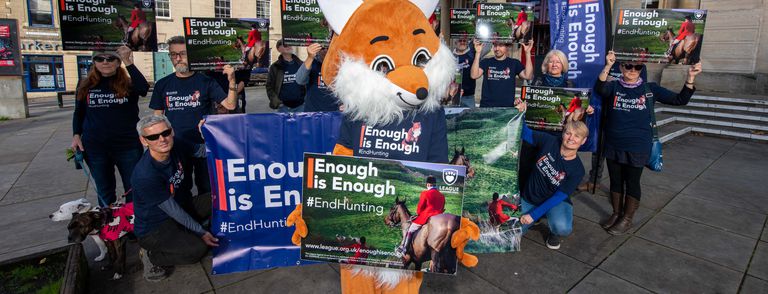 Animal Charity