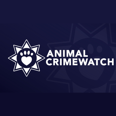 Animal Charity