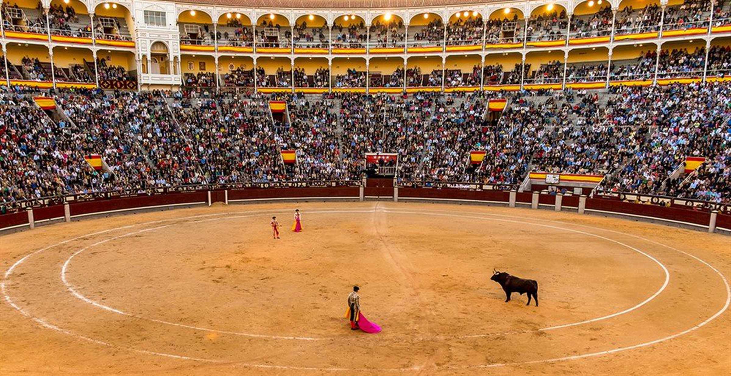 Bullfight