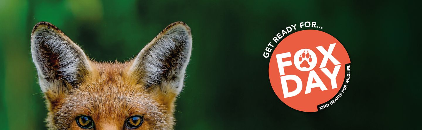 Animal Charity