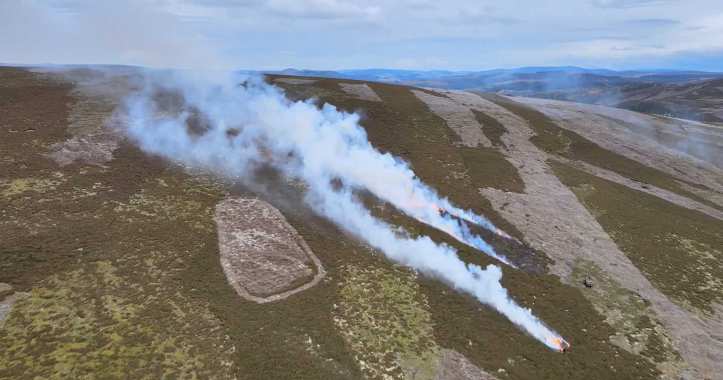 Muirburn