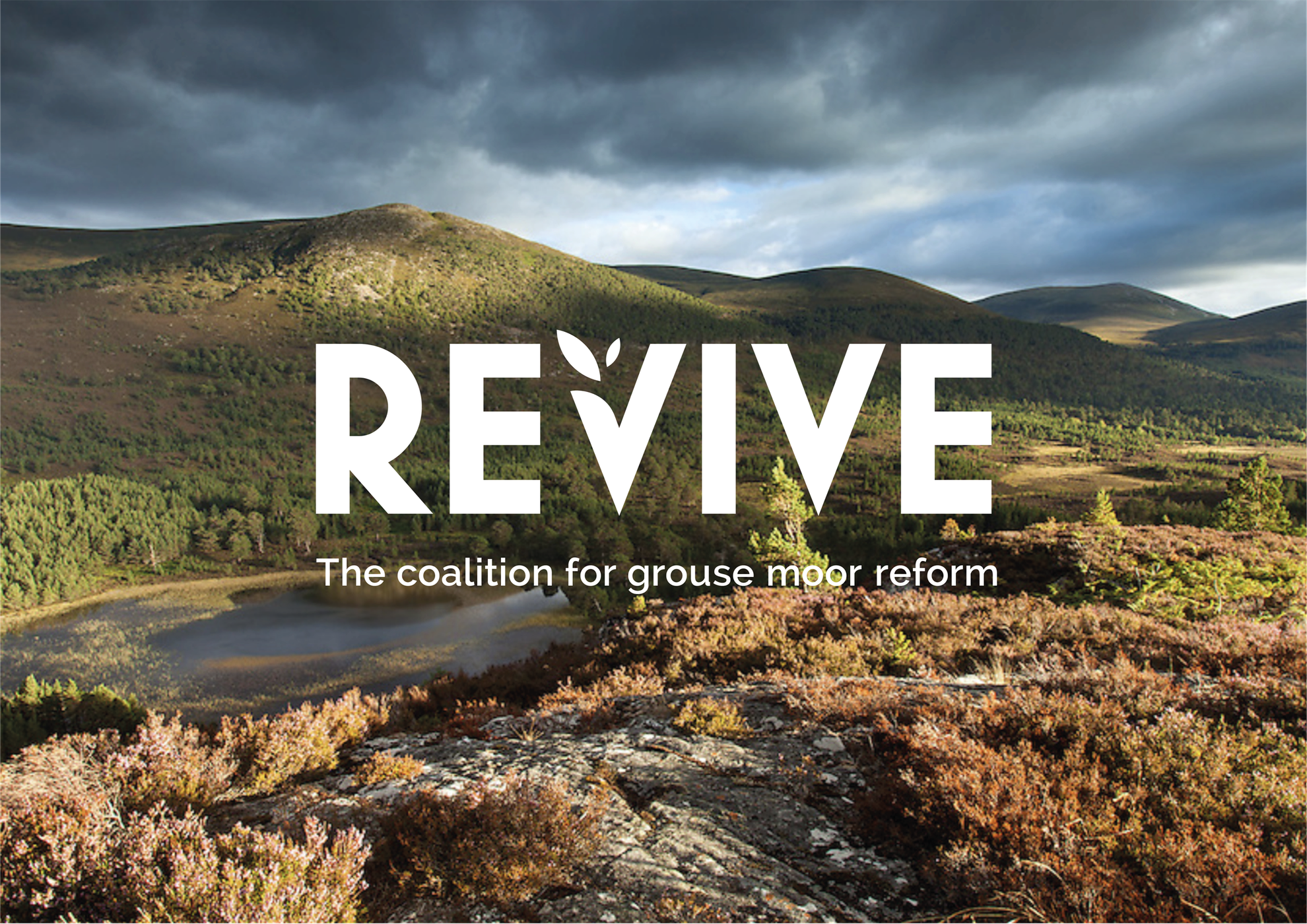 Revive