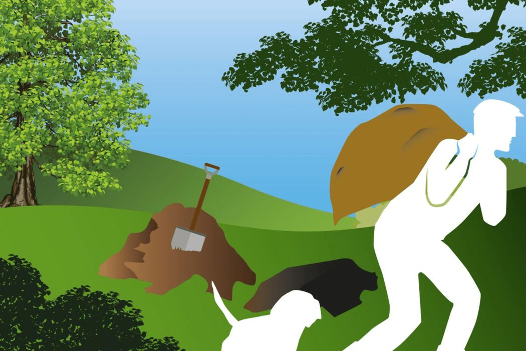 Animal Charity